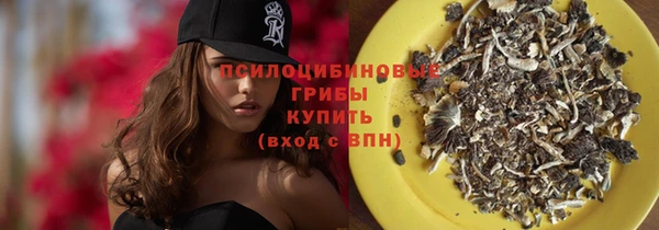 герыч Арсеньев
