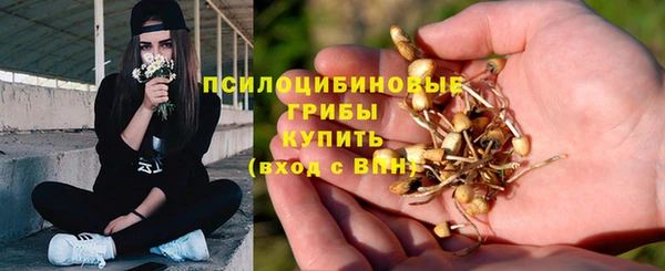 герыч Арсеньев