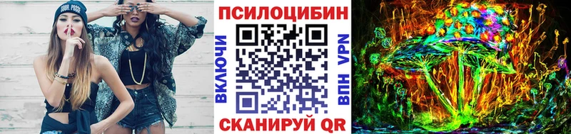 магазин    Усть-Лабинск  Галлюциногенные грибы Cubensis 