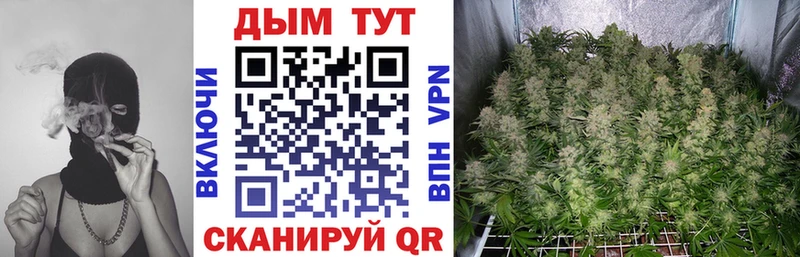 купить наркоту  hydra ссылки  Каннабис ГИДРОПОН  Усть-Лабинск 